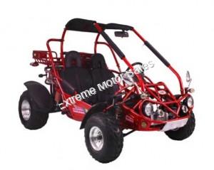 Trailmaster 300 XRX-E EFI Go Cart Go Kart Dune Buggy 300cc Adult Size