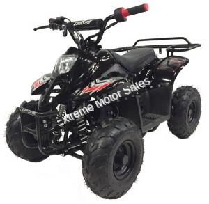 Panther Kids 110cc ATV  Youth Quad With Parent Remote Control