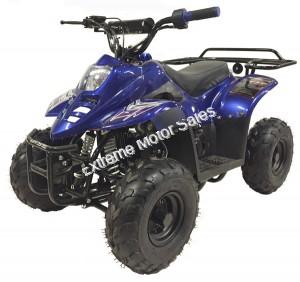 Panther Kids 110cc ATV  Youth Quad With Parent Remote Control