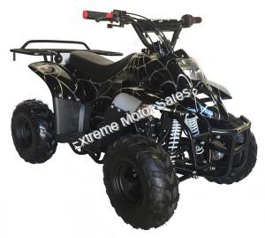 Panther Kids 110cc ATV  Youth Quad With Parent Remote Control