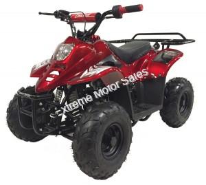 Panther Kids 110cc ATV  Youth Quad With Parent Remote Control