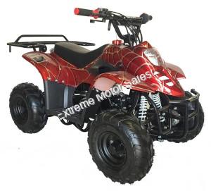 Panther Kids 110cc ATV  Youth Quad With Parent Remote Control