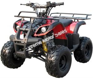 Extreme 3125R Kids ATV 125cc Small Quad 4 Wheeler with Reverse