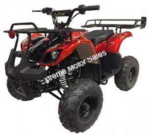 Extreme 3125R Kids ATV 125cc Small Quad 4 Wheeler with Reverse