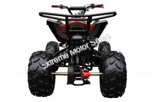 Snake Eyes 125cc Kids Sport ATV Automatic with Reverse Full Size Quad