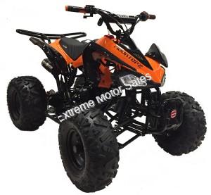 Snake Eyes 125cc Kids Sport ATV Automatic with Reverse Full Size Quad