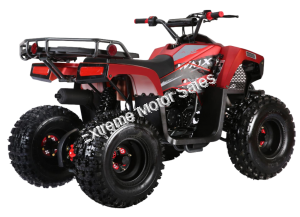 Wolfeye 3125F 125cc Kids Sport Utility ATV Automatic with Reverse Quad