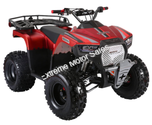 Wolfeye 3125F 125cc Kids Sport Utility ATV Automatic with Reverse Quad