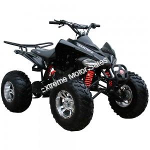 Snake Eyes 3150CXC 150cc ATV Full Size Sport QUAD Kids Automatic