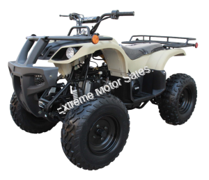 Coolster 3175U 200cc ATV Full Size Utility QUAD Automatic 4 Wheeler