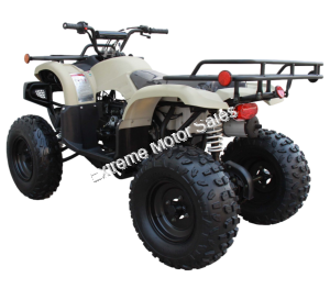 Coolster 3175U 200cc ATV Full Size Utility QUAD Automatic 4 Wheeler