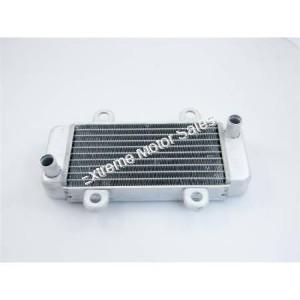 Radiator Comp. - Front for Hi Low 250cc Hammerhead Go Kart Cart