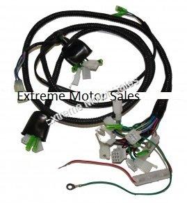 Hammerhead 250cc Go Cart Kart Super Sport Rear Wiring Harness