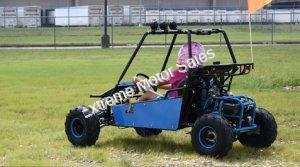 RAIDER 125cc Kids Go Cart Go Kart Dune Buggy 2 Seater