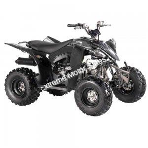 Pentora 125cc EFI ATV Kids Quad Automatic with Reverse 4 Stroke Gas