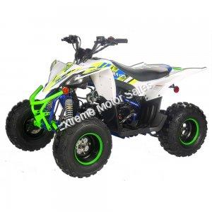 Pentora 125cc ATV Kids Quad Automatic with Reverse Carbureted Model