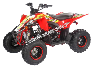 Pentora 125cc ATV Kids Quad Automatic with Reverse Carbureted Model