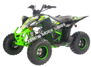 Pentora 125cc ATV Kids Quad Automatic with Reverse Carbureted Model