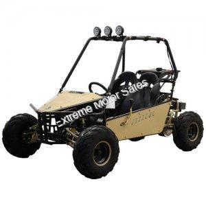 RAIDER 125cc Kids Go Cart Go Kart Dune Buggy 2 Seater