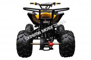 Snake Eyes 125cc Kids ATV Quad with Reverse Deluxe Aluminum Wheels