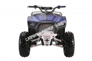 Wolfeye 3125F 125cc Kids Sport Utility ATV Automatic with Reverse Quad