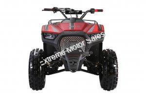 Wolfeye 3125F 125cc Kids Sport Utility ATV Automatic with Reverse Quad