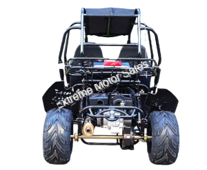 Trailmaster Blazer4 200EX Go Cart GoKart Dune Buggy 4 Seat | EFI