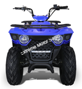 Linhai Bighorn Massimo 150cc ATV Quad Full Size Utility 4 Wheeler