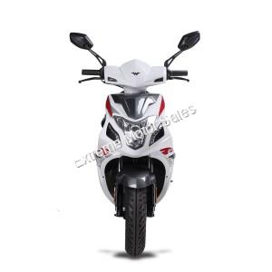 Wolf Blaze 50cc Gas Scooter Moped 49cc Street Legal 2 Year Warranty