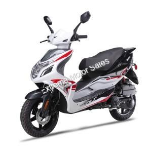 Wolf Blaze 50cc Gas Scooter Moped 49cc Street Legal 2 Year Warranty