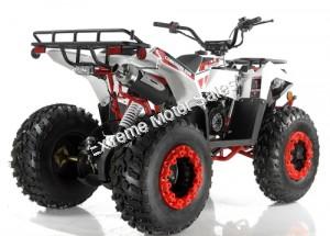 Apollo Commander 200cc ATV Automatic w/Reverse 4 Wheeler Quad Utility