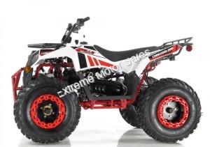 Apollo Commander 200cc ATV Automatic w/Reverse 4 Wheeler Quad Utility