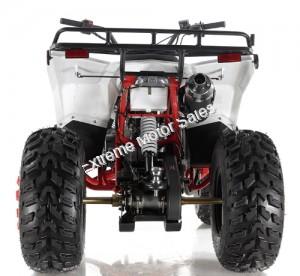 Apollo Commander 200cc ATV Automatic w/Reverse 4 Wheeler Quad Utility