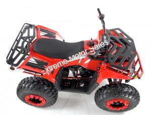 Apollo Commander 200cc ATV Automatic w/Reverse 4 Wheeler Quad Utility