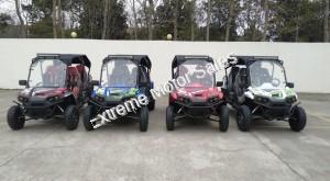 Trailmaster Challenger 4 200EX 4 Seater EFI UTV Utility Vehicle Side x Side