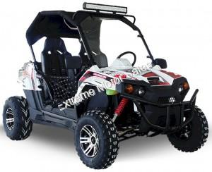 Trailmaster Challenger 300EX 300cc EFI UTV Utility Vehicle Side x Side