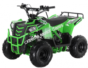 Mini Commander 110cc Kids ATV Quad Green