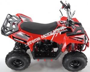 Mini Commander 110cc Kids ATV Quad