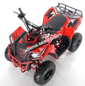 Mini Commander 110cc Kids ATV Quad