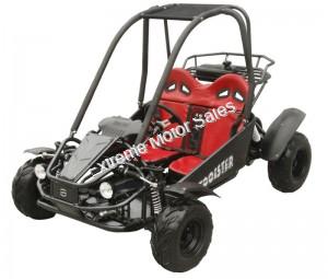 Shark 125cc Kids Youth Go Cart Dune Buggy