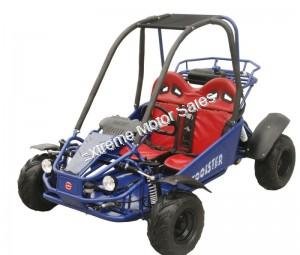 Shark 125cc Kids Youth Go Cart Dune Buggy