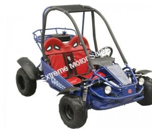 Shark 125cc Kids Youth Go Cart Dune Buggy