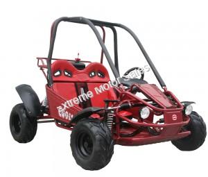 Shark 125cc Kids Youth Go Cart Dune Buggy