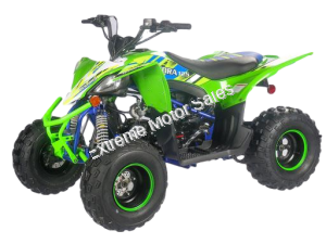 Pentora 125cc ATV Kids Quad Automatic with Reverse Carbureted Model