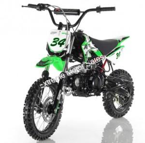 Apollo DB34 DB-34 110cc Dirt Bike Pit Kids Pro Semi Automatic