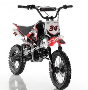 Apollo DB34 DB-34 110cc Dirt Bike Pit Kids Pro Semi Automatic