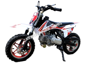 Kandi VT DB-S60 60cc Automatic Kids Dirt Bike With Training Wheels