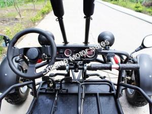 Extreme Spider 200cc 250cc Go Cart Go Kart KD200GKA-2 Buggy