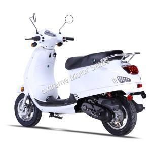 Wolf Lucky 50cc Gas Scooter Moped 49cc Street Legal 2 Year Warranty