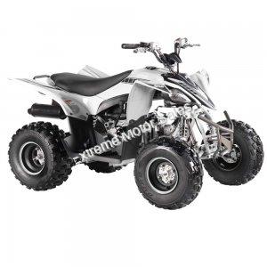 Pentora 125cc EFI ATV Kids Quad Automatic with Reverse 4 Stroke Gas